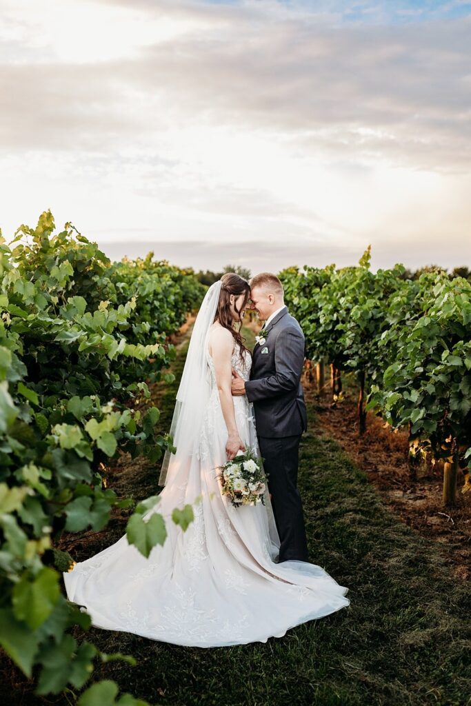 Bride and groom in vineyard at sunset at Huber's winery